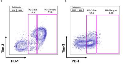 PD-1 Expression Status on CD8+ Tumour Infiltrating Lymphocytes Associates With Survival in Cervical Cancer